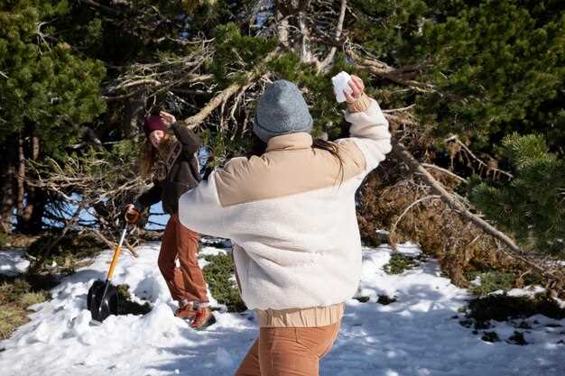 What is the fine for not having snow chains in Colorado?