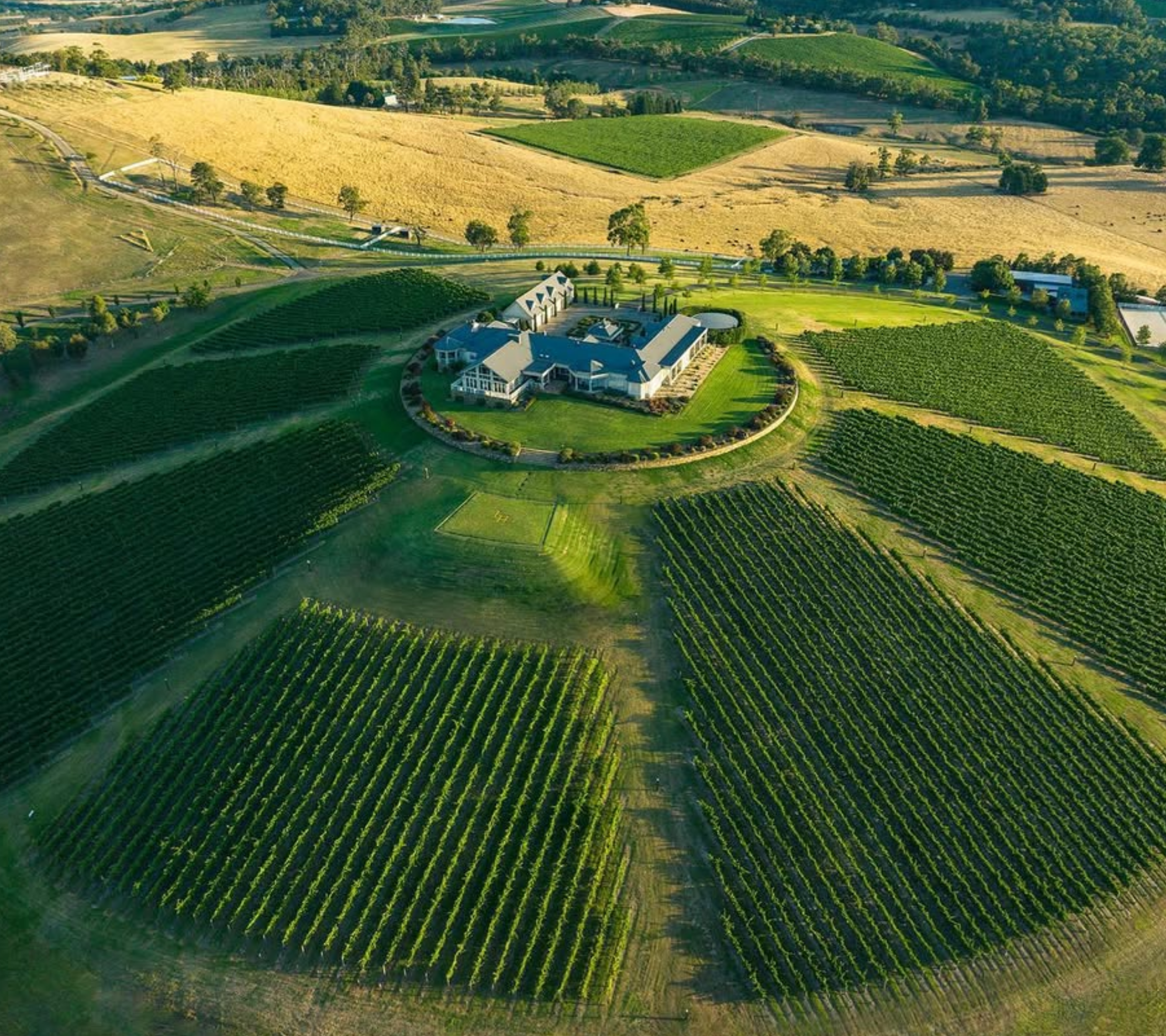 Levantine Hill, Yarra Valley