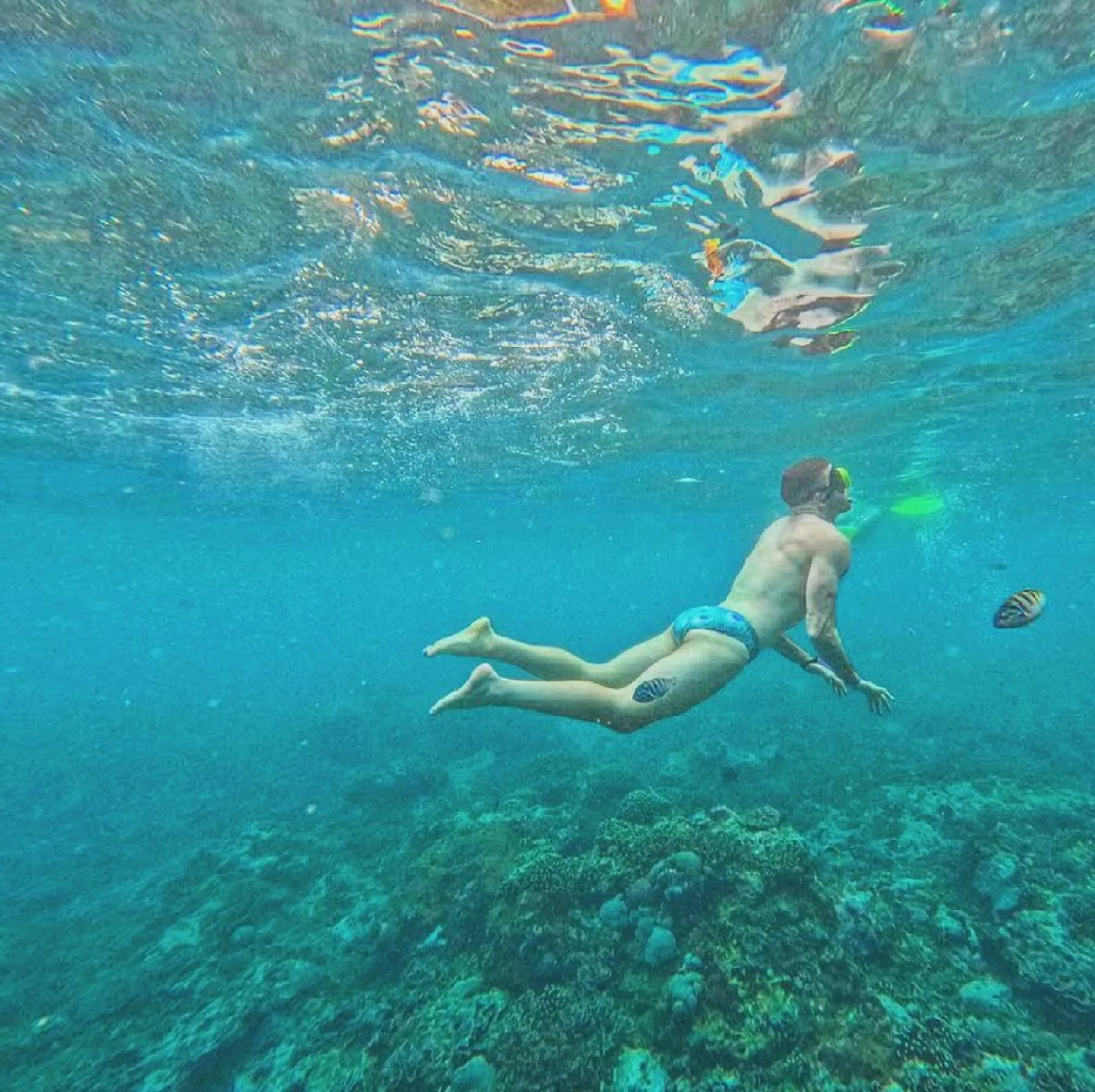 Snorkeling and Diving, Ocean Road