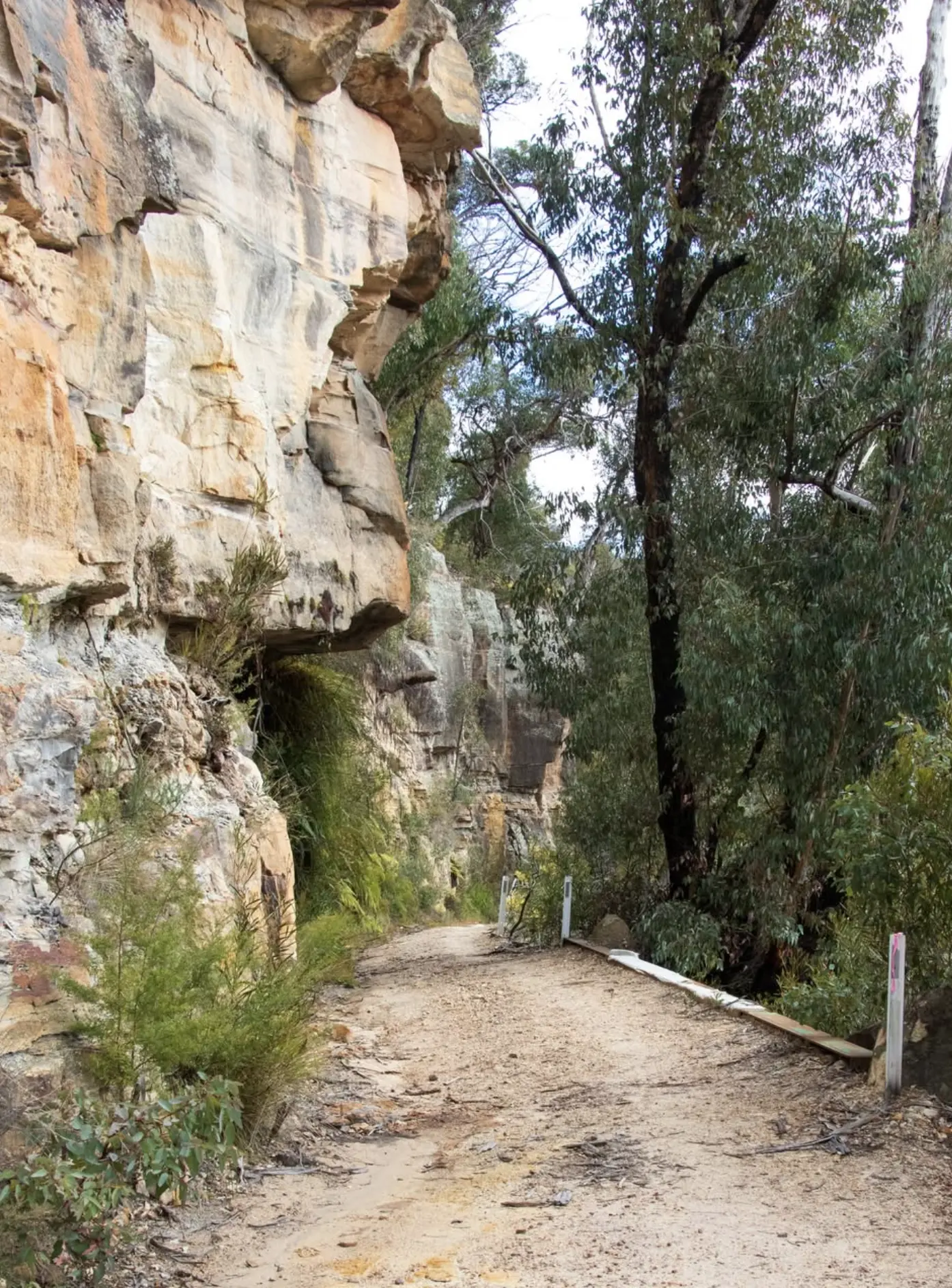 Jenolan Caves