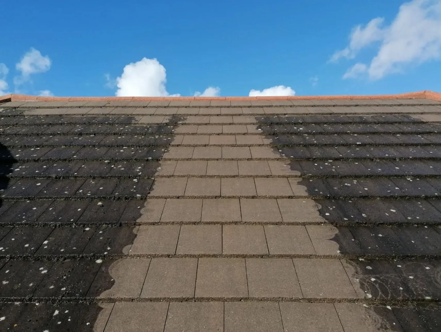 roof cleaners near me