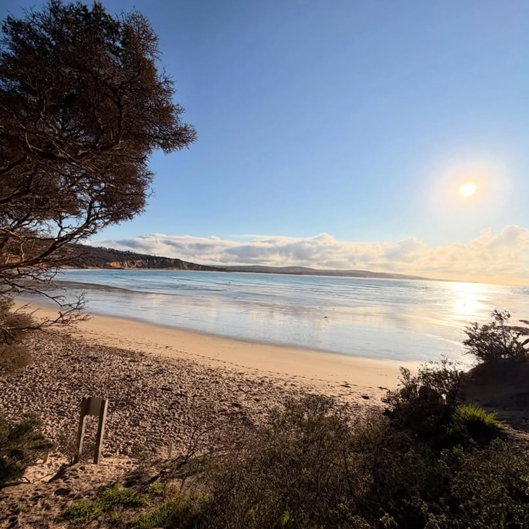 clear beach along great ocean road